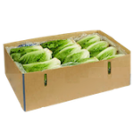 Caja de lechuga romana